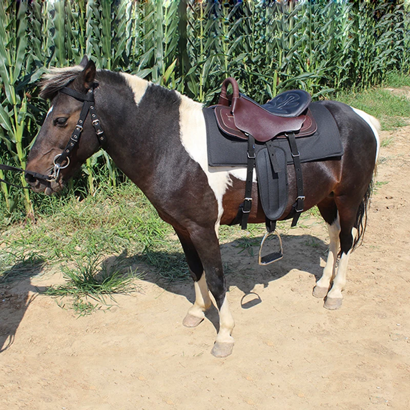 Custom Used Race Western Jump Australian Horse Saddle Pad, Personalised Leather, Wholesale