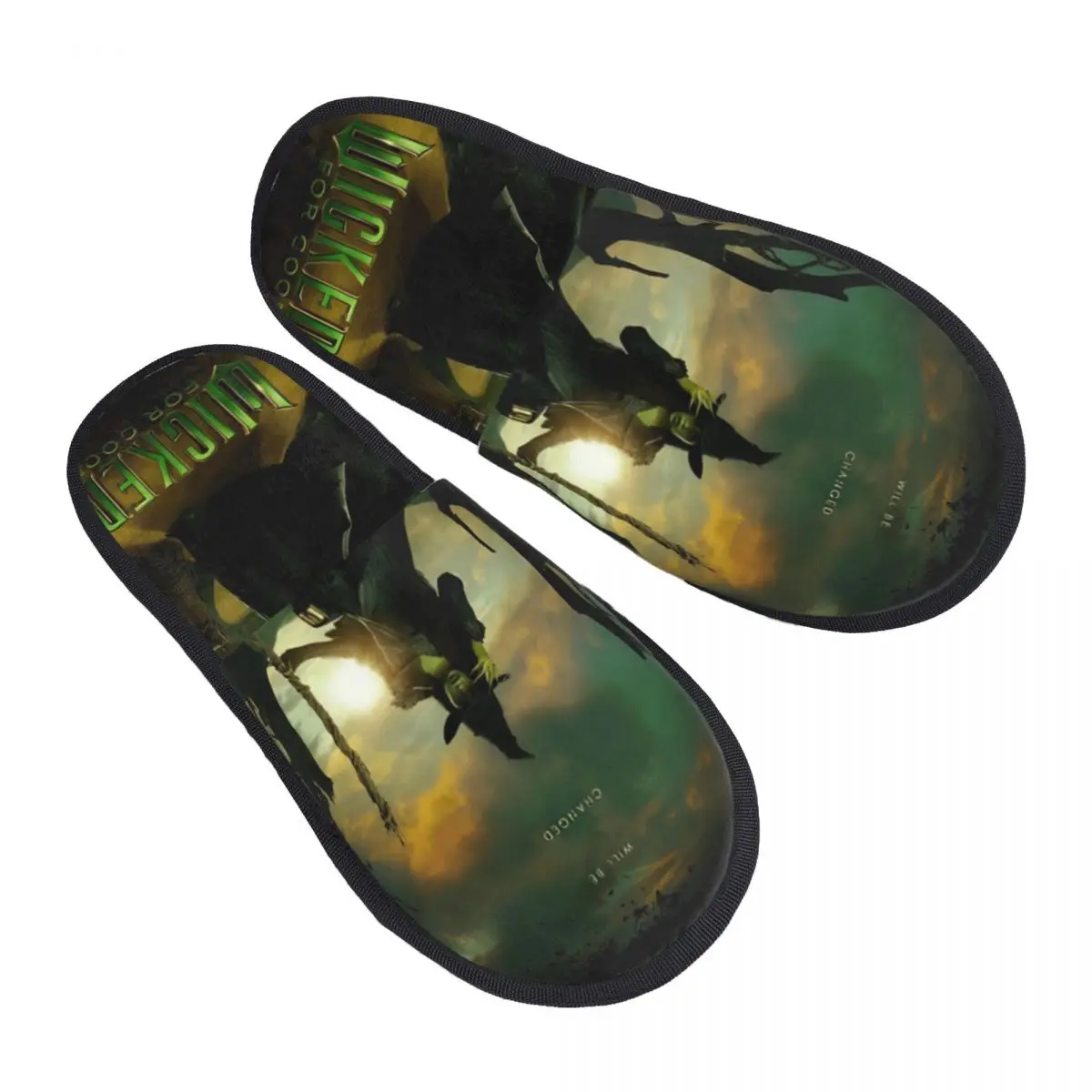 

Aesthetic Wicked For Good Slippers for Woman Man House Shoes Plush Indoor Slippers