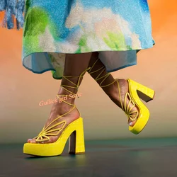 Yellow Butterfly Wings Sandals Platform Block Heel Fashion 2024 Summer Women Dress Lace Up Shoes Round Toe 2024 New Arrivals