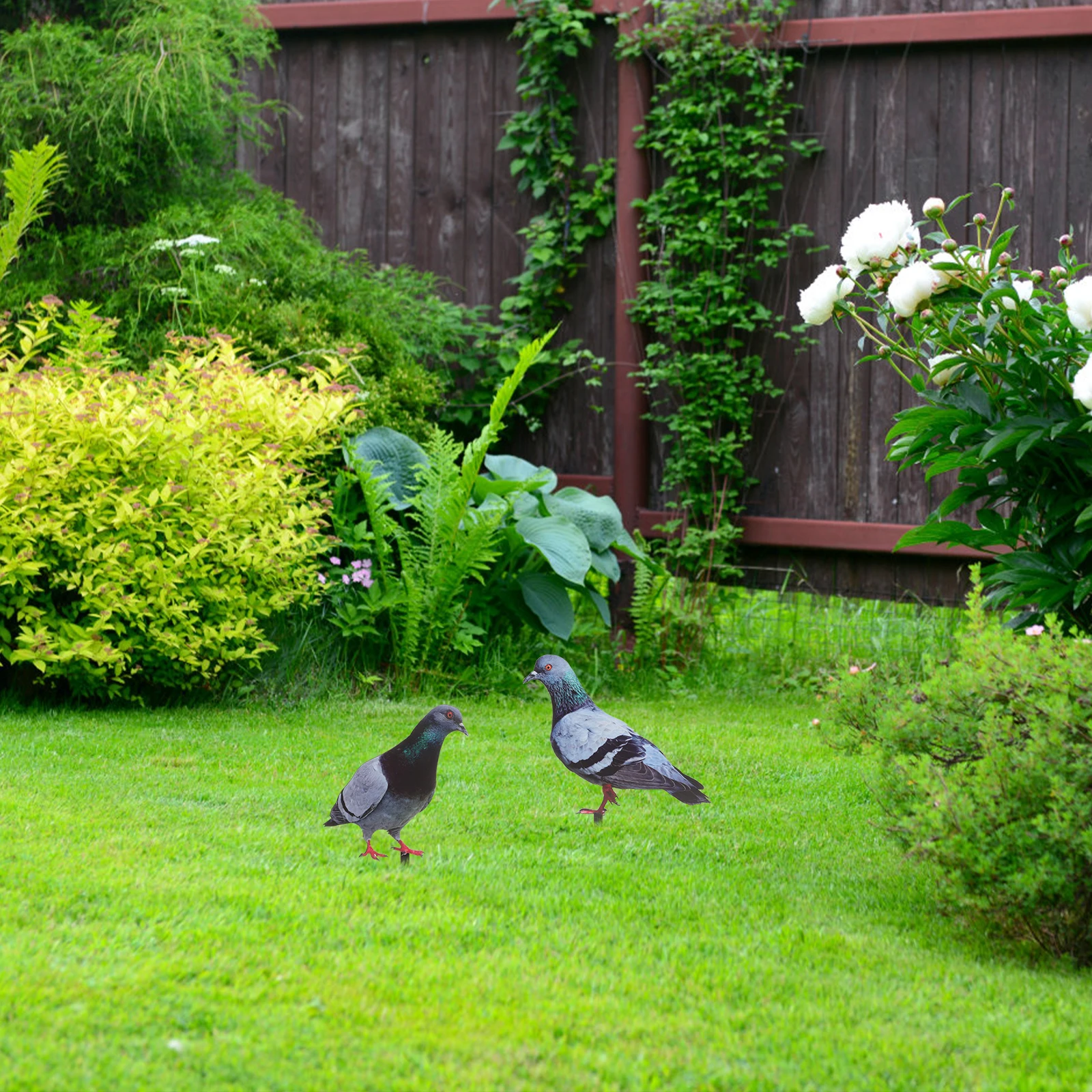 

2pcs Pigeon Stake Garden Decoration Yard Ornament Durable Weather Resistant Acrylic Lawn Stake Decor For Backyard Patio Garden