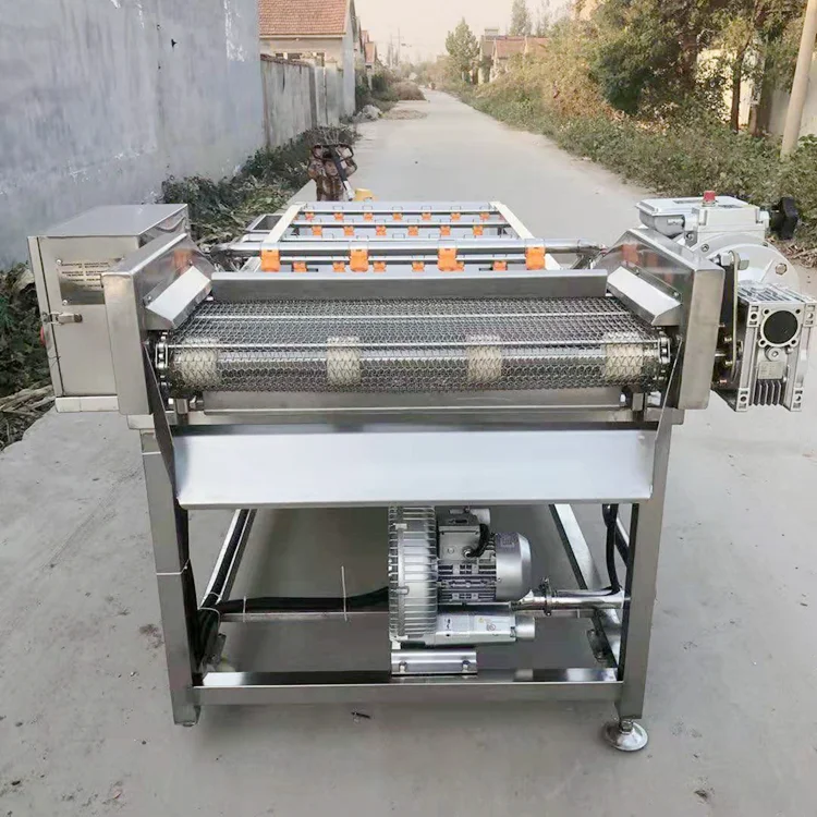Food Processing Bubble Cleaning Machine for Mushrooms Lotus Root Ginger Vegetables Fruits and Seafood