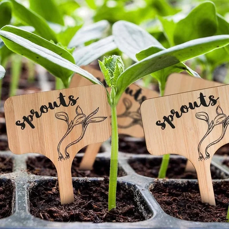 10-60PCS T-Type Bamboo Plant Labels Eco-Friendly Wooden Garden Markers for Bonsai Potted Herbs Flowers - Plant Sign Tags Tool