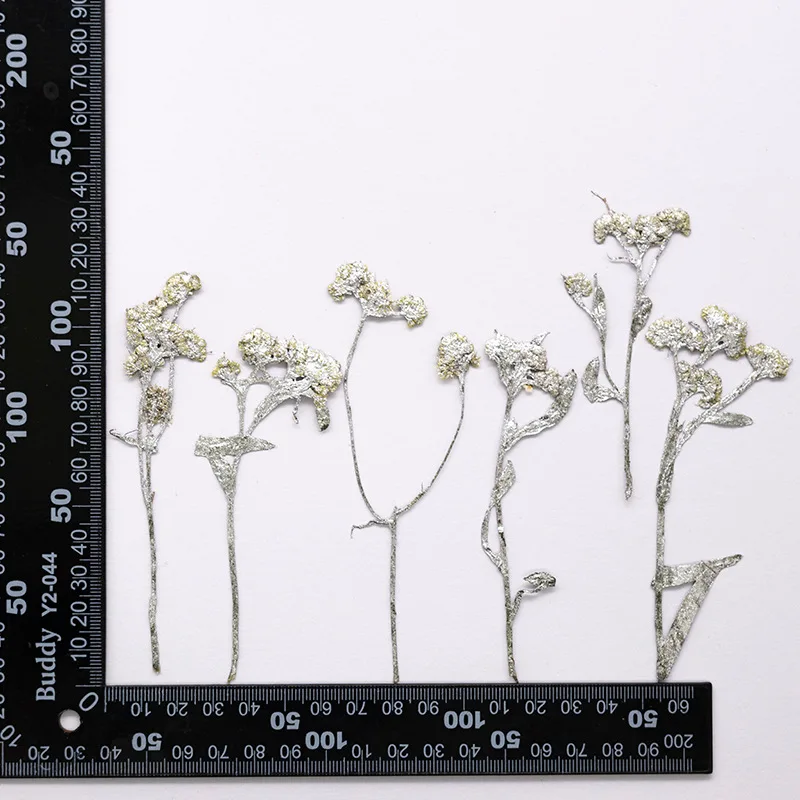 12 Stück, gefärbte gepresste Kreuzkresse-Blumen, getrocknete Pflanzen, DIY-Material für Harz, Lesezeichen, Scrapbooking, Kartenherstellung, Bastelzubehör – Detail 7