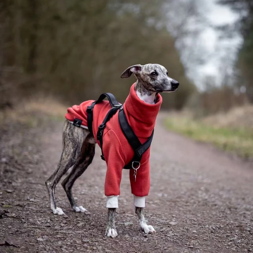 Mono forro polar 2 patas verde invierno para Galgo Italiano y Whippet - imagen 3