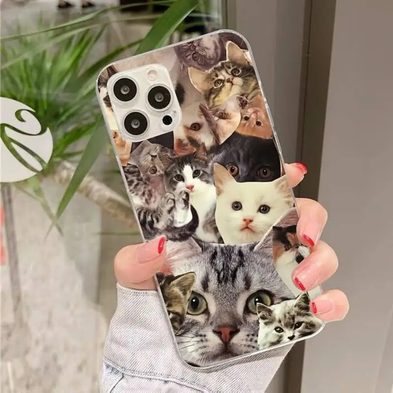 Crying Cat Memes Phone Case for iPhone 11 12 13 Mini Pro Max 8 7 6 6S Plus X 5 SE 2020 XR XS Case shell