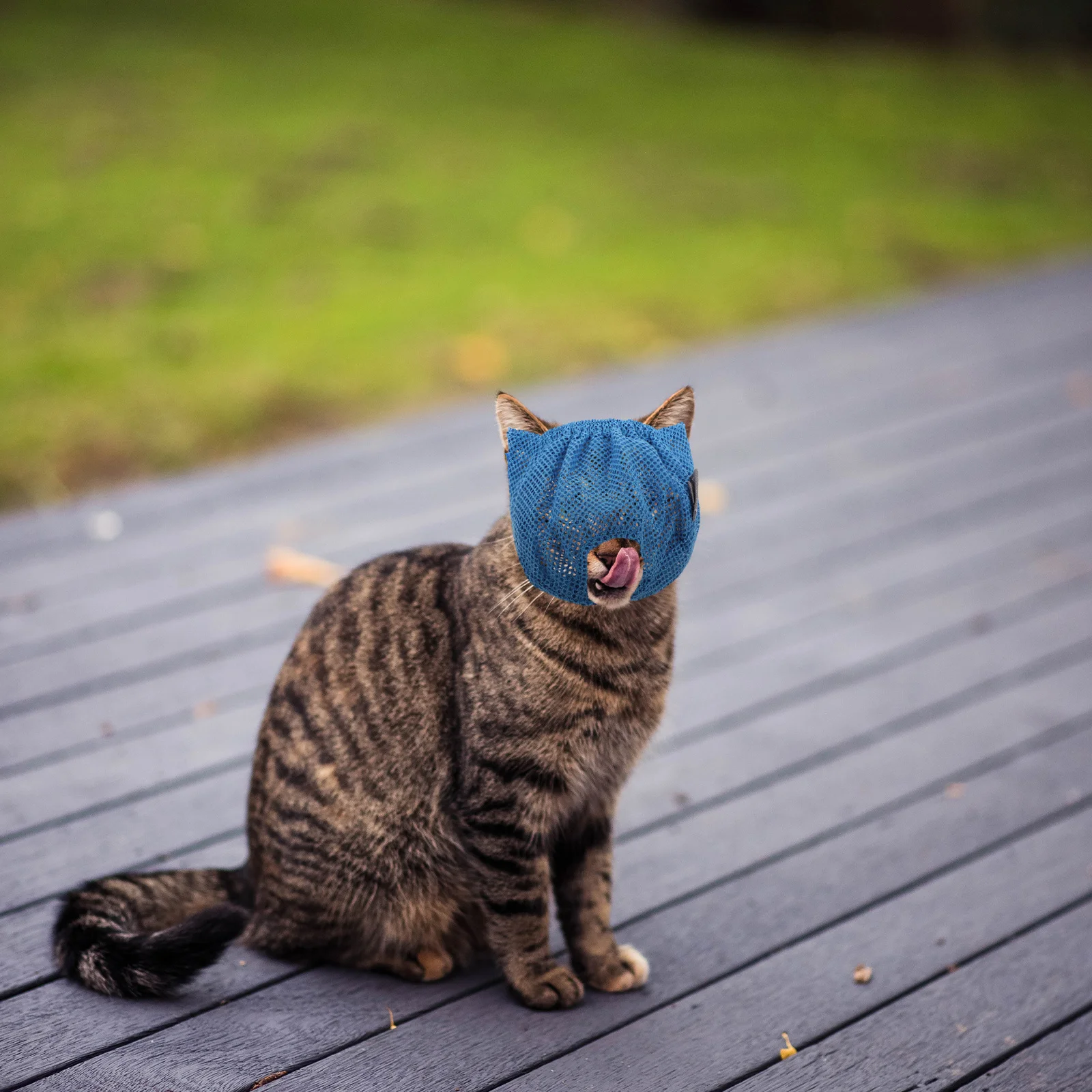 

1Pcs Anti-Bite Cat Mask Breathable Pet Mouth Cover Lightweight Comfortable for Home Hospital Use Creative Cat Muzzle Pet