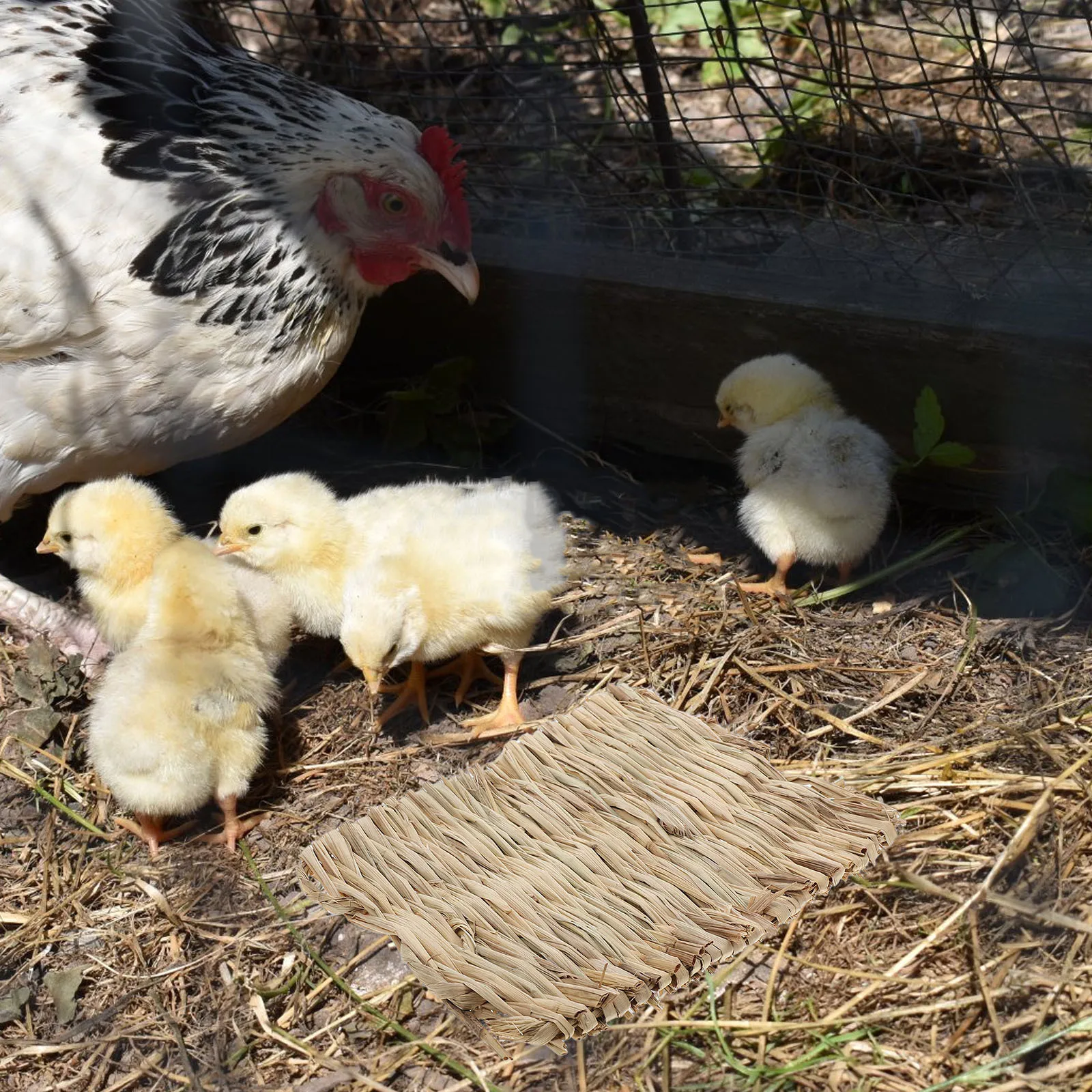 

4Pcs Grass Mat for Nesting Natural Breathable Rabbit Bird Bedding Cage Mat Soft Comfortable Scratch Resting Pad for Small Pets