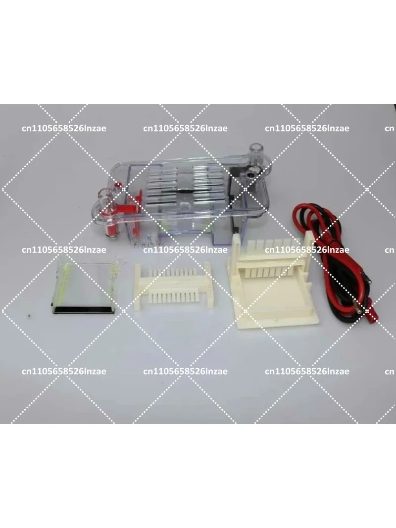 Horizontal Electrophoresis Tank Agarose Gel Electrophoresis System for Molecular Separation Biology Lab Teaching