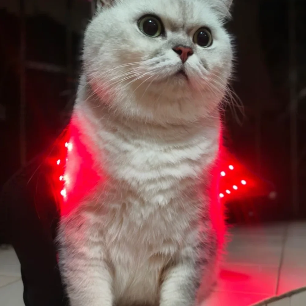 660nm Portable Red Light Therapy for Pets, Professional Device for Hip Dysplasia, Arthritis Pain Relief and Enhanced Comfort