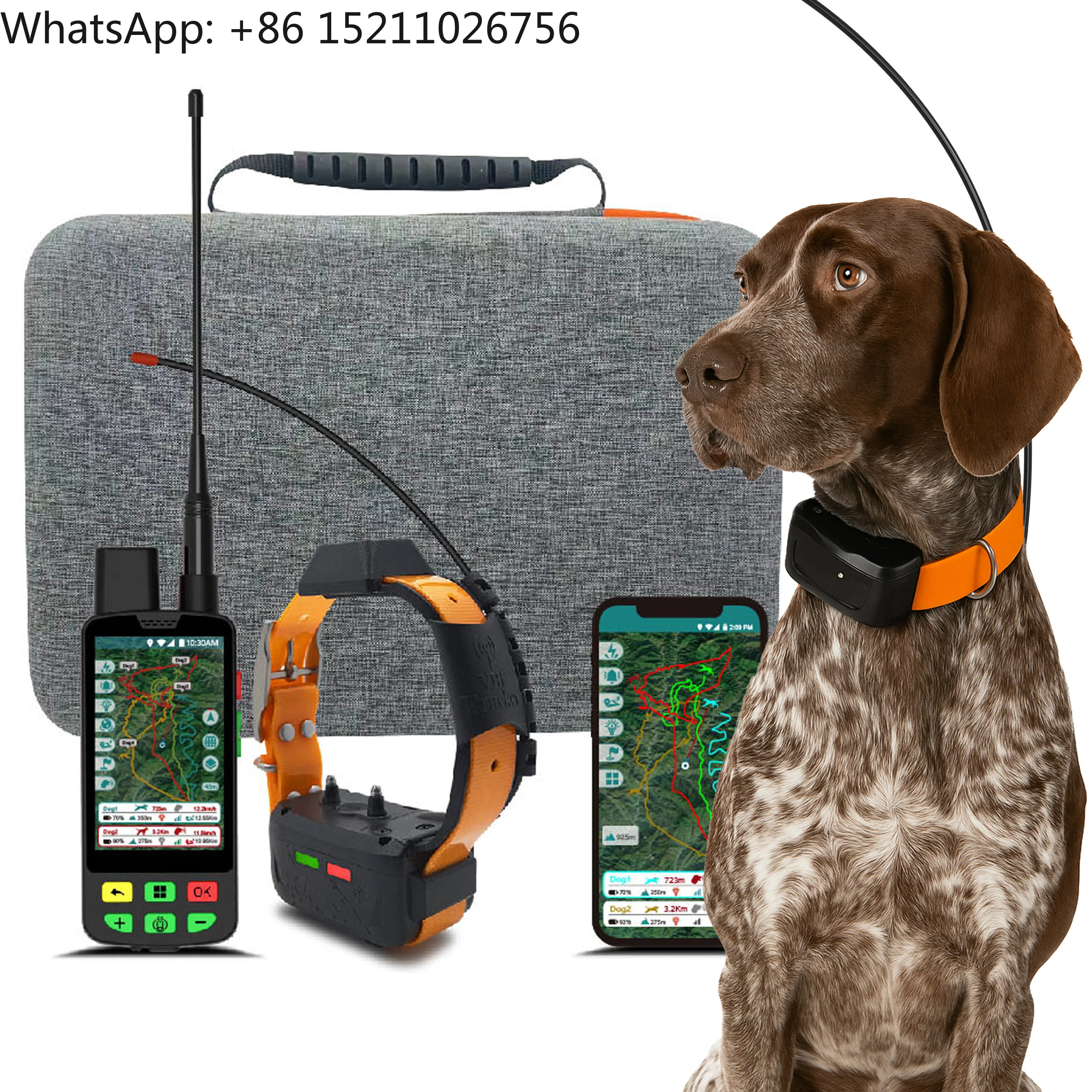 High-Gain Dog GPS Tracking Collar with Antena: Dual-Polarity VHF + 15KM Range - OEM Customization Available