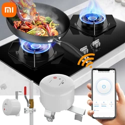 Xiaomi Tuya Smart Water Valve Wifi Faucet Gas Pipe Automatic Valve Controller Work With Alexa Google Assistant Yandex Alice