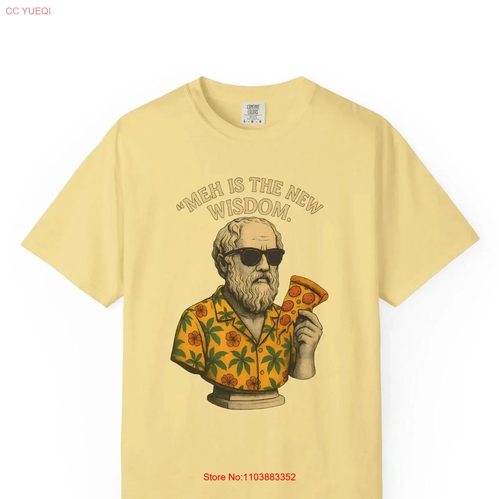 T-shirt 'Meh Is the New Wisdom' Mediocrates, cadeau original drôle et sarcastique pour lui et elle, vêtements de créateur vintage lavés et polyvalents