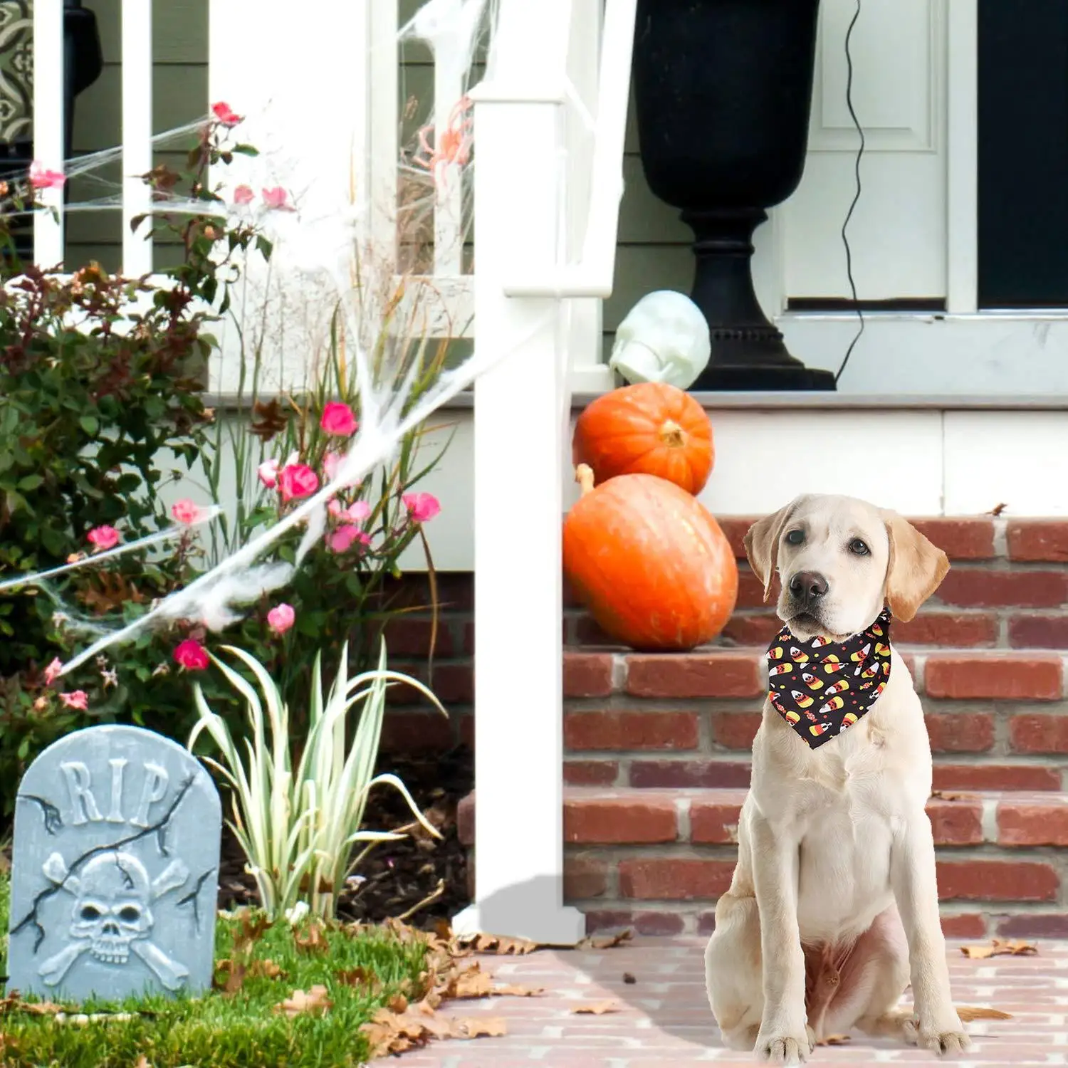 Halloween Pet Drool Scarf Cat Dog Triangle Scarf Pet Holiday Atmosphere Scarf Fun Pet Accessories Christmas Pet Supplies