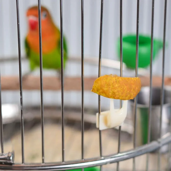 Bird Cage Fruit Fork Parrot Mynah Diet Fork Bird Cage Accessories Fruit Fork Plastic Bird Supplies Utensils