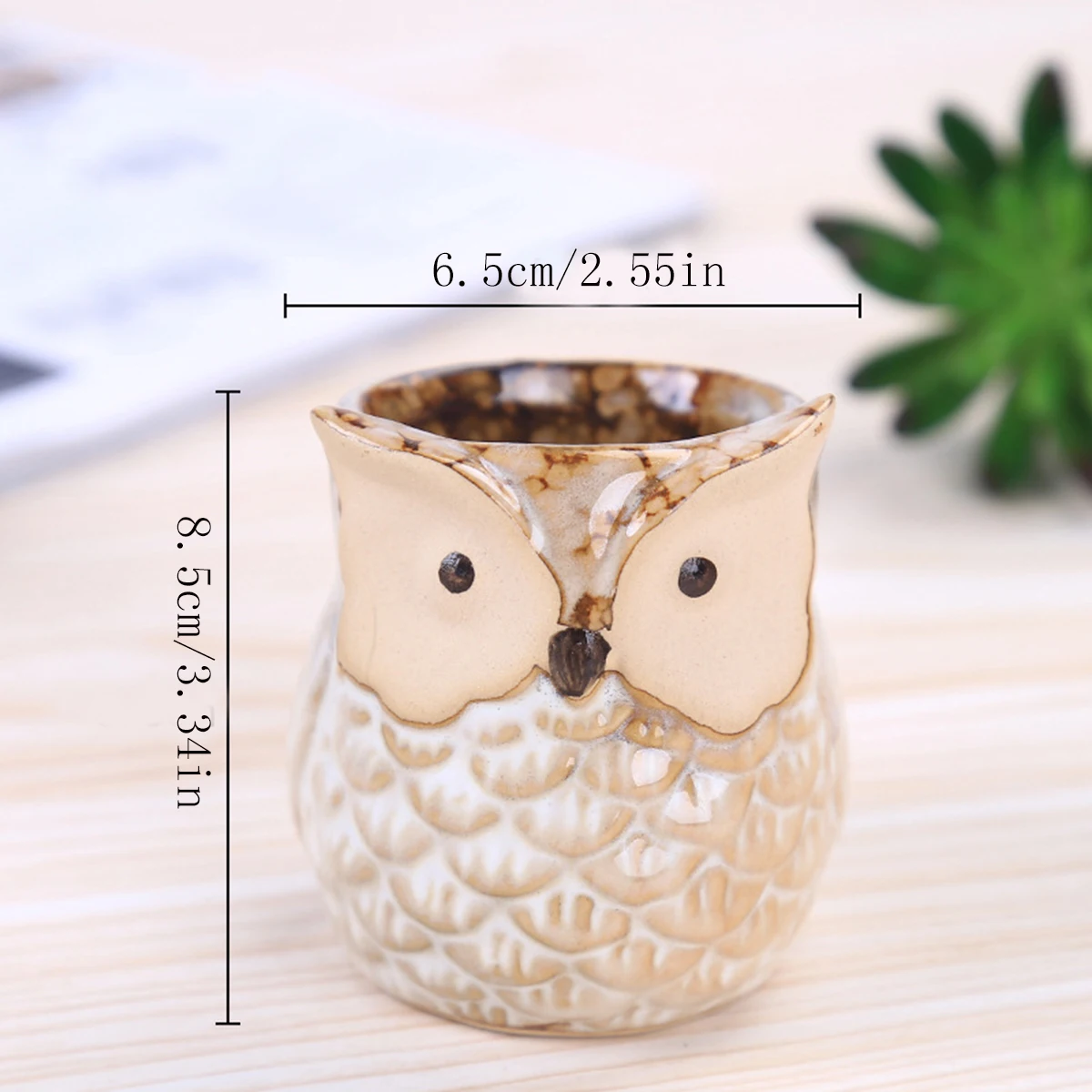 Home Garden Supplies Decoratio - Mini Bonsai Zen Garden review and price
