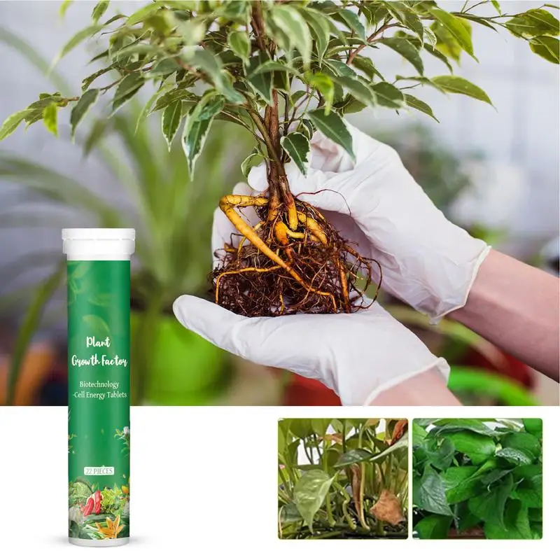 

Plant Nutrients Tablets 22 Pcs Plant Fertilizer Indoor Potted Plants All Purpose Plant Food Slow-Release Tablet Fertilizer for