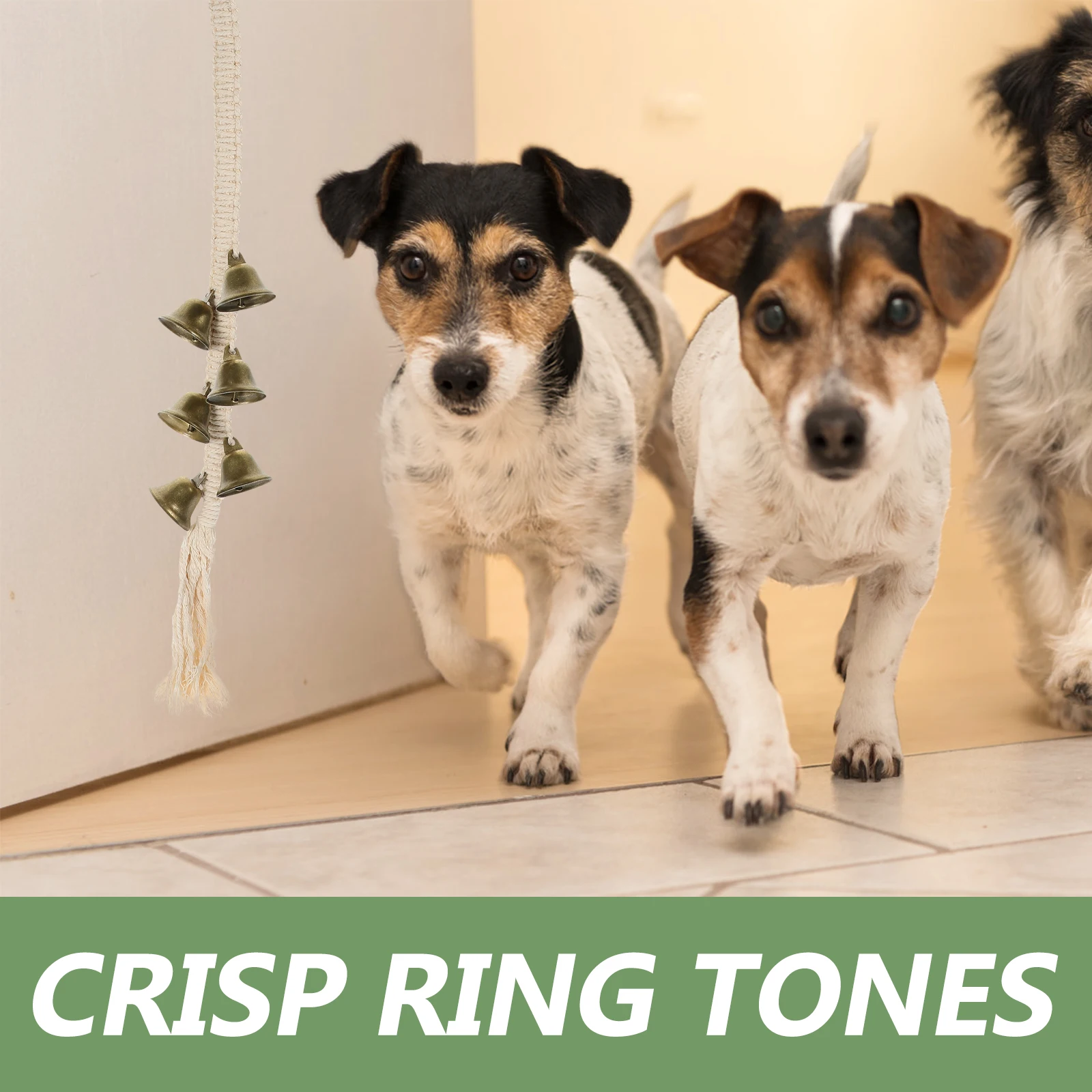 

Dog Training Bell Bells for Door Puppy Rope Pet Traction Handles Tool Potty Dogs High Quality Iron Cotton Cord Durable Snap