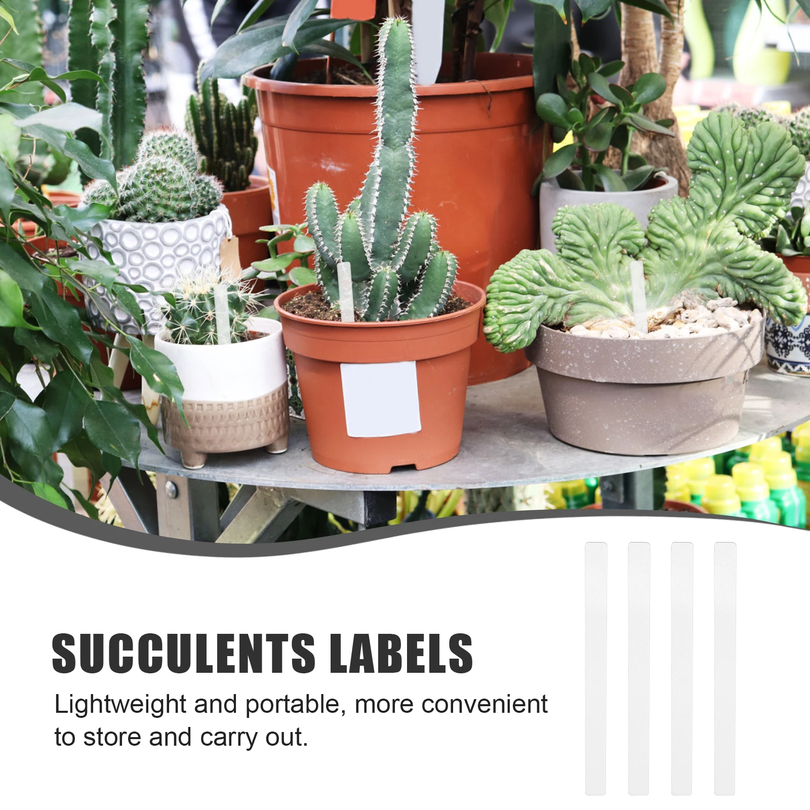 

48pcs Garden Markers Plant Labels for Flower Beds Gardens Pots Parks Vegetable Name Tags Plant Label Tags Stakes