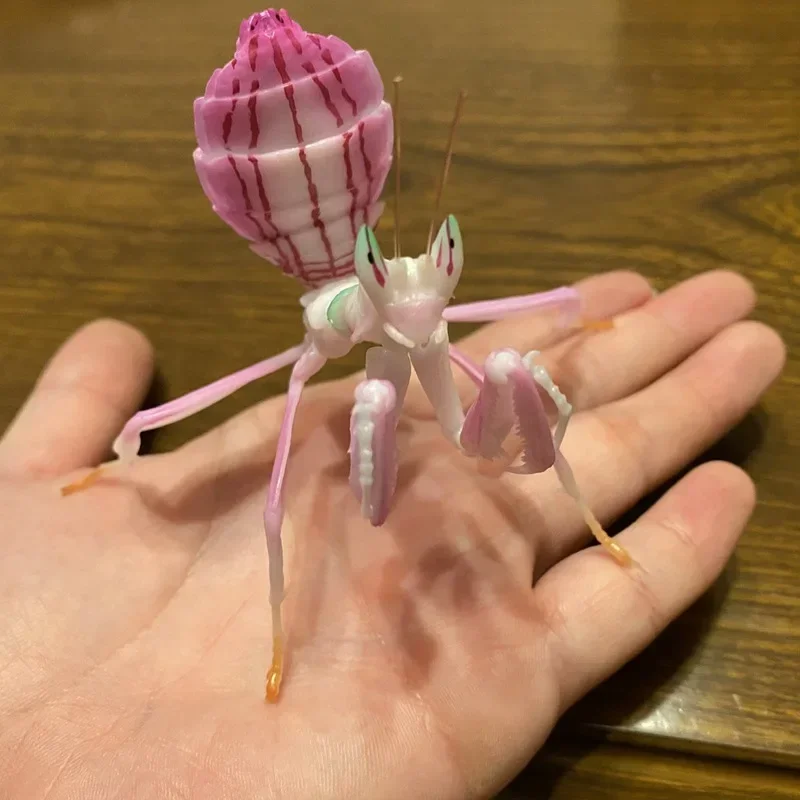 BANDAI figura de Gashapon de Japón, mapa de biología, orquídea, Mantis, modelo de insectos, cápsula Kawaii, juguetes, estatuilla para niños, regalo para niñas