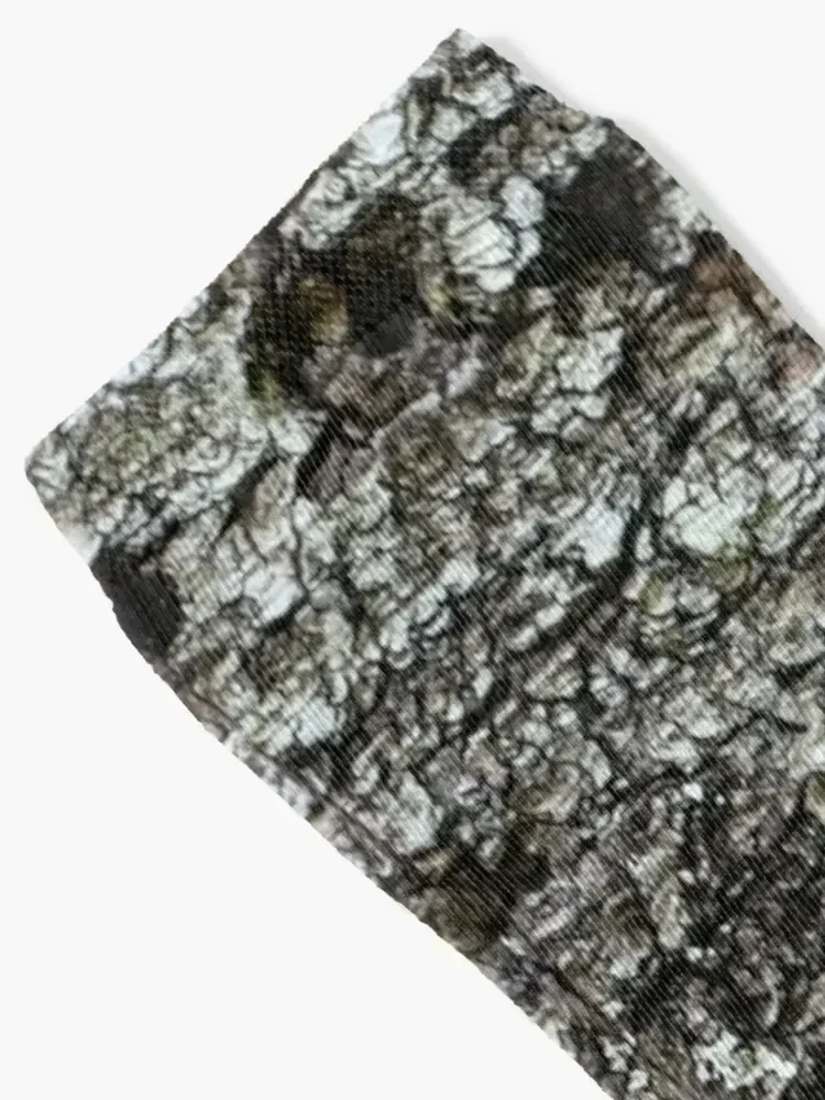 Birch Bark Socks Christmas football Children's hiphop Men Socks Luxury Brand Women's