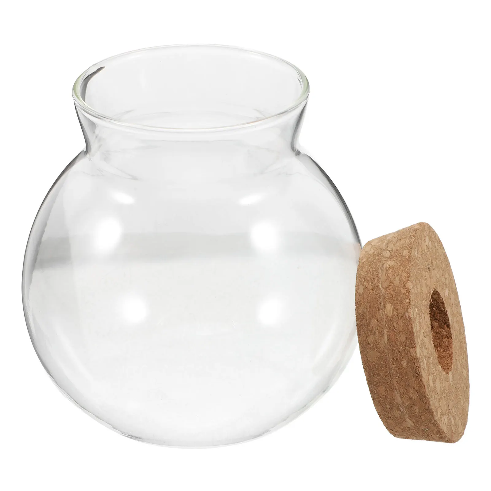 

Glass Terrarium Jar Transparent Round Hydroponic Plant Vase Cork Lid DIY Succulent Moss Fern Air Plants Micro Landscape Eco