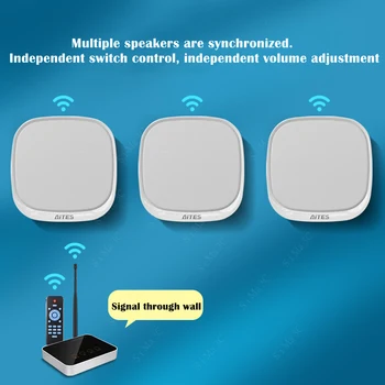 Wall-mounted Speaker Commercial Wiring-free Hanging Bluetooth Speaker Store-specific Audio USB Multiple Synchronous Broadcast