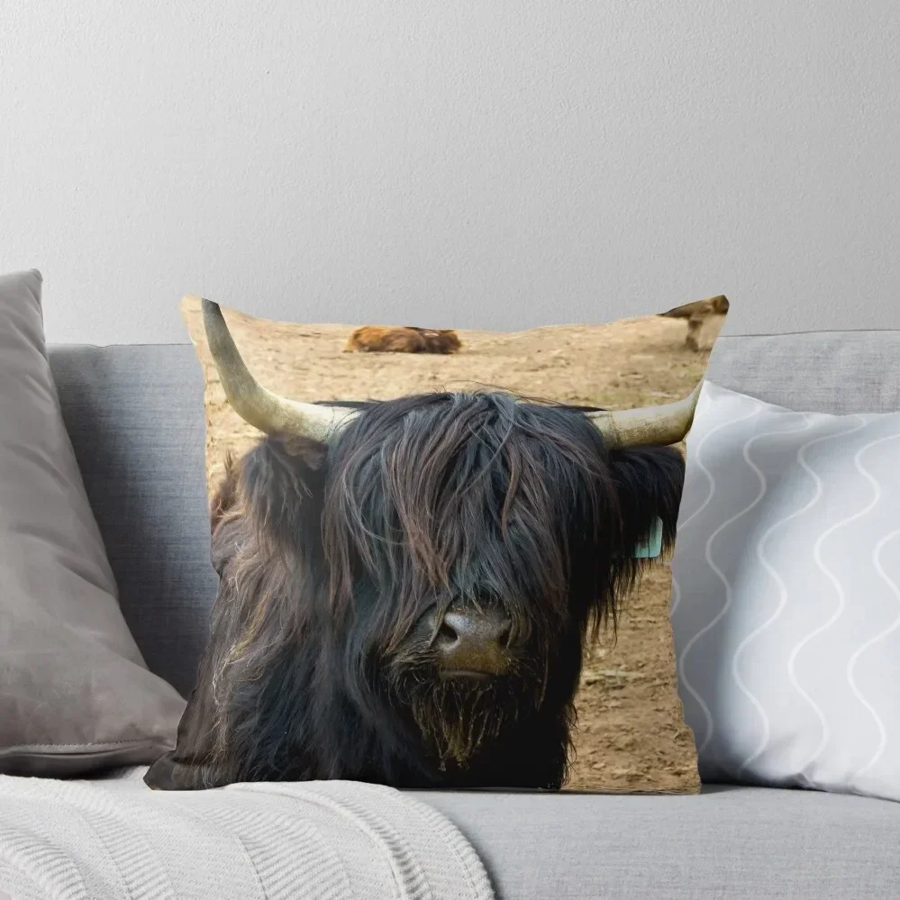 

Highland Cattle #2 Throw Pillow Pillowcases Bed Cushions christmas decorations for home 2025 pillow