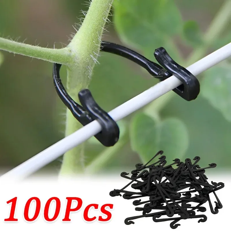 Garden Plants Fixed Clips Buckles Tomato Vegetable Grafting Clips Grape Support Vine Clips Plastic Fixed Buckle Hooks