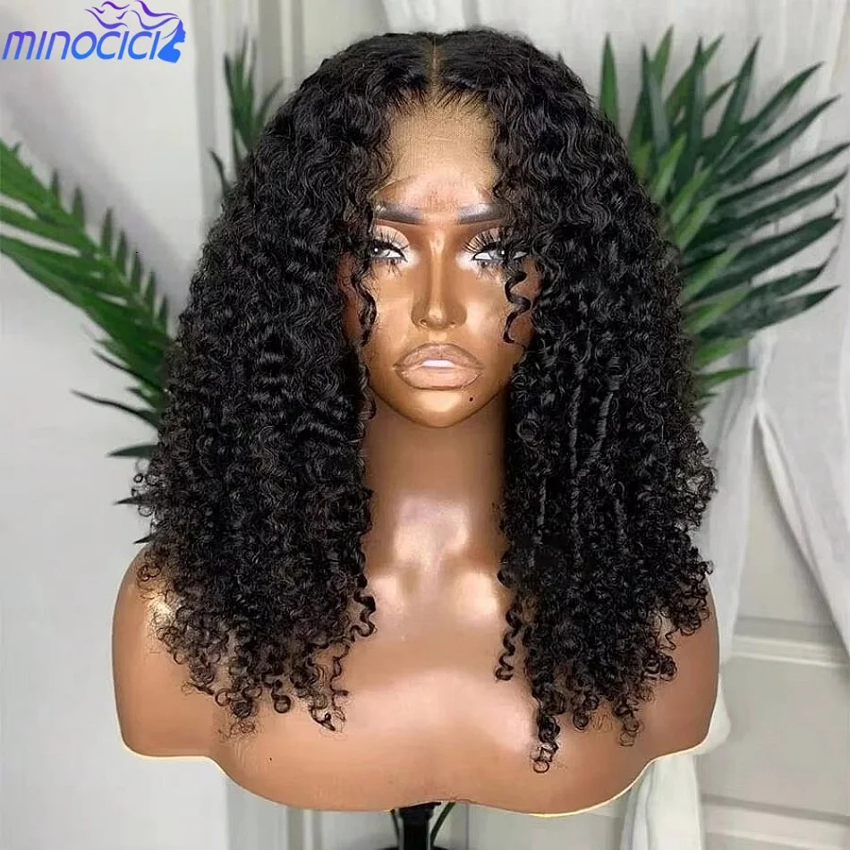 Burmese Curly Virgin Human Hair Wig Natural Black 13x4 HD Lace Wig Pre Plucked 30 40 Inch Brazilian 13X6 Hd Lace Frontal Wig Water Wave Beginner Friendly