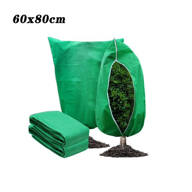 Variant: 60x80cm Green