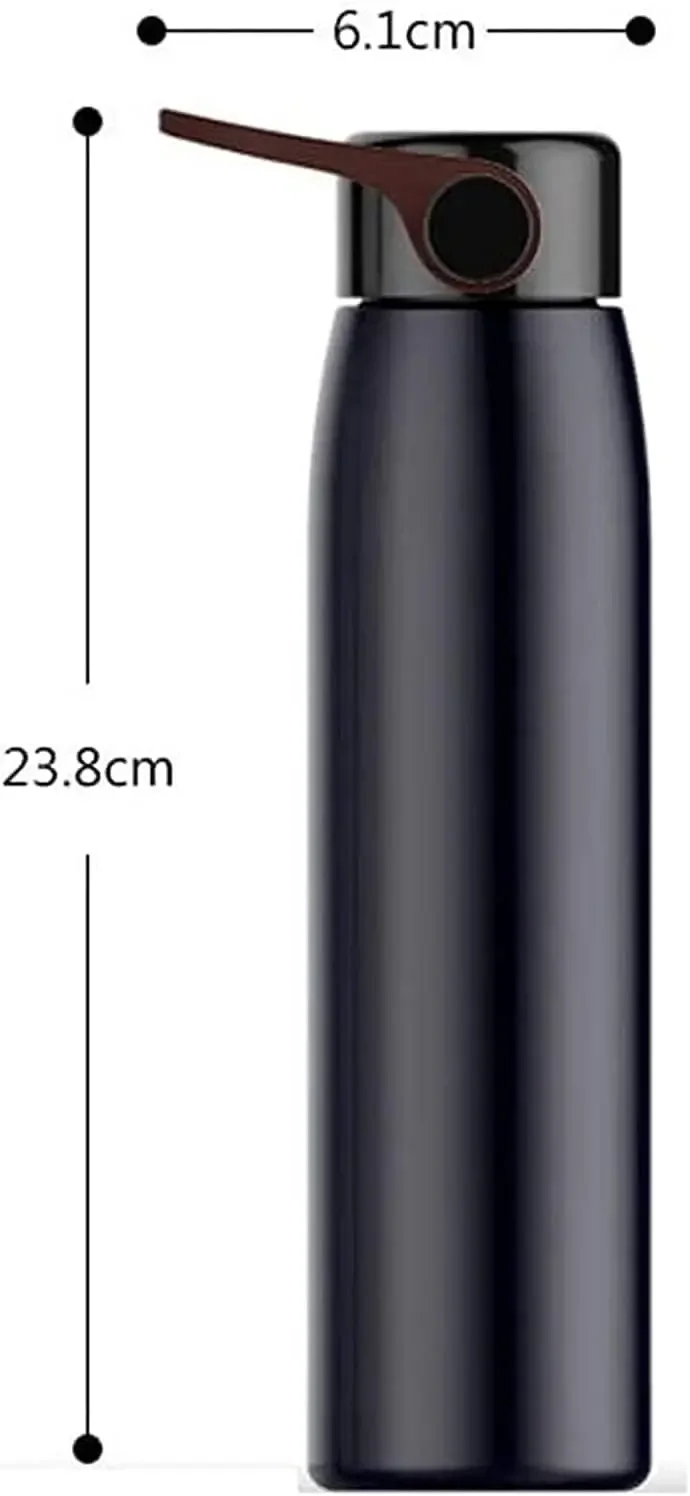 Portable Thermos Cup Kettle Fashion Stainless Steel Thermos, Portable Vacuum Travel Mug with Handle 320ml Thermos (Color : Black