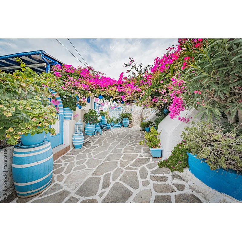 NITREE European Street Building Town Potted Vine Alley Corridor House Scenic Photo Backdrop Photography Background PZ-05