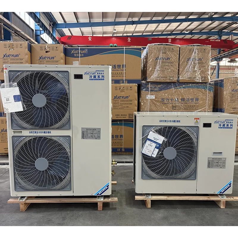 Refrigerazione commerciale ad alta efficienza Sala di raffreddamento mobile Congelatore per celle frigorifere Camminata nel frigorifero Pannelli per celle frigorifere