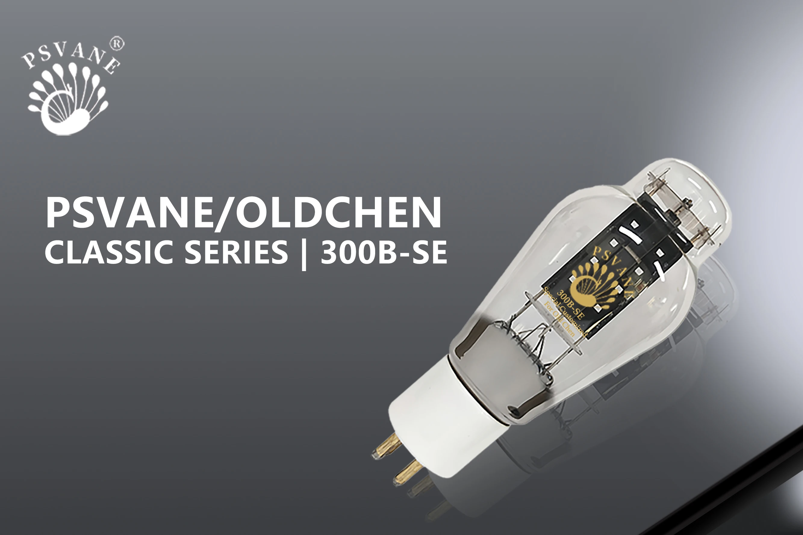 PSVANE/OLDCHEN 300B-SE Vakuumröhre, Ersatz für 300B / 300B-N / 300B-PT / 300B-Z, High-Fidelity Audio-Röhrenverstärker – Detail 2