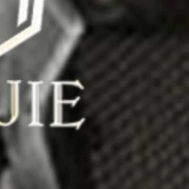 

Motorcycle Radiator Grille Guard Covers FOR BMW R1200GS R 1200 GS LC R1200 GS Adventure ADV 2013 2014 2015 2016 2017 2018 2019