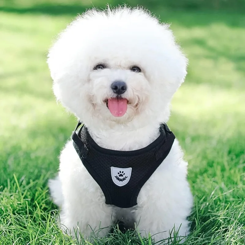 Katzenharnisch mit Leine, verstellbare Hundeweste aus Polyester-Mesh, atmungsaktive Geschirre für kleine Hunde, Katzenzubehör – Detail 7