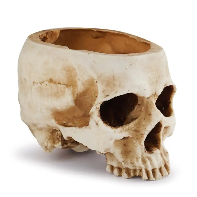 Hot Trend-Resin Skull Shaped Flower Pot 1 Pc With Drain Hole, Skull Planter For Home Office Desk, Gothic Style Decor For Hallowe