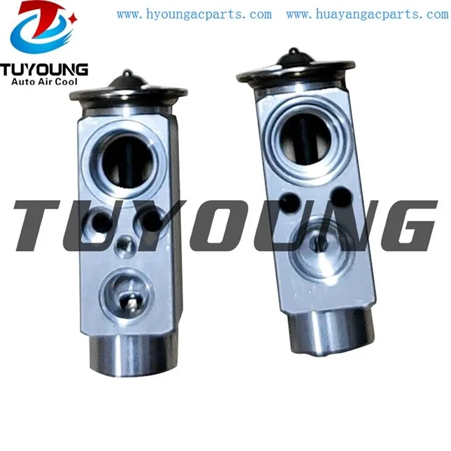 

TUYOUNG brand new Auto AC Expansion Valve for Mercedes Benz C160 180 200 240 valve block A2308300184 8UW351239-401 2308300184