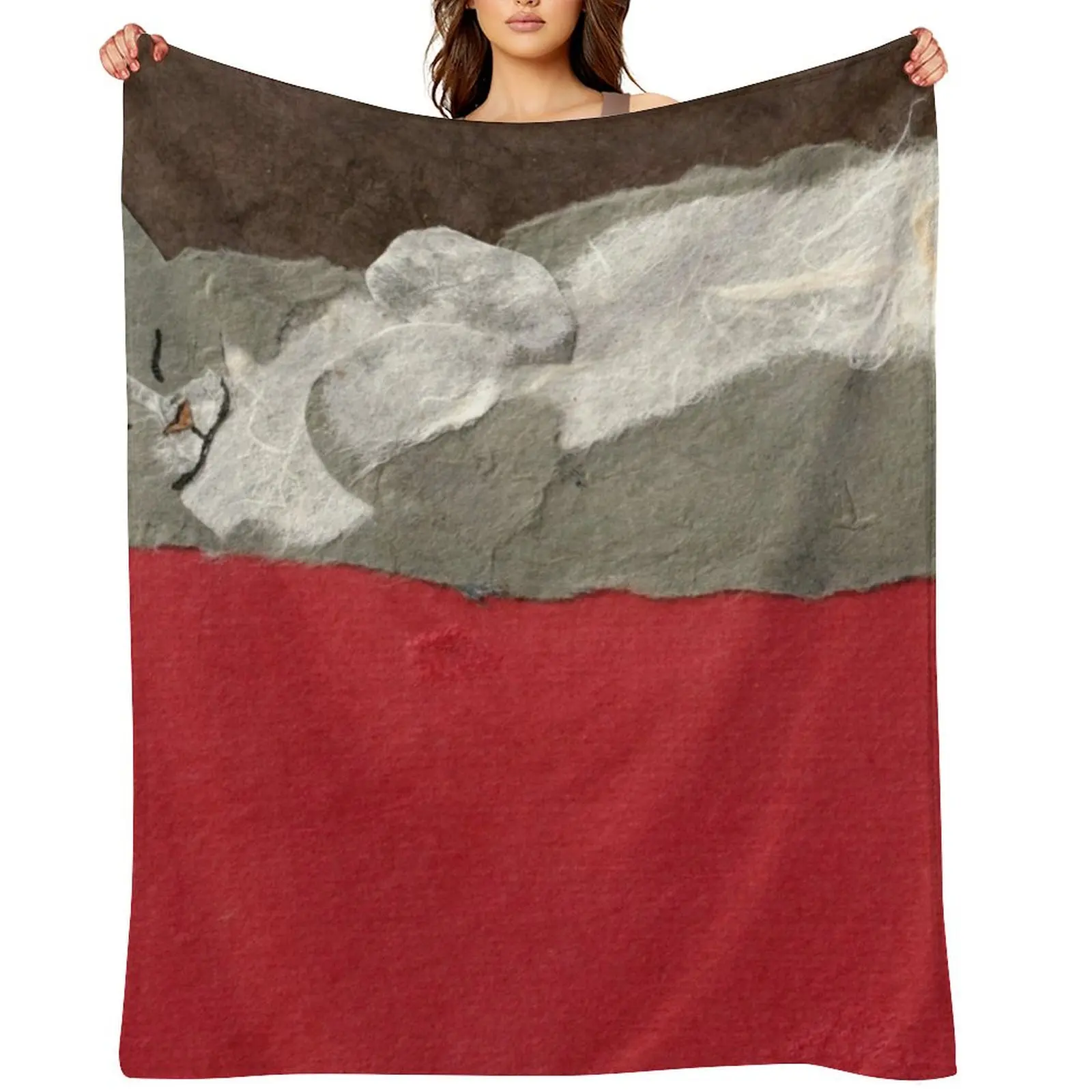 

Gray Cat on Red Throw Blanket wednesday Hair for winter decorative Blankets
