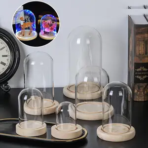Glass Cloche Jar Display Stand Cover Terrarium Bottle with Wooden Base Acrylic Dust Cover Display Box Immortal Flower Box