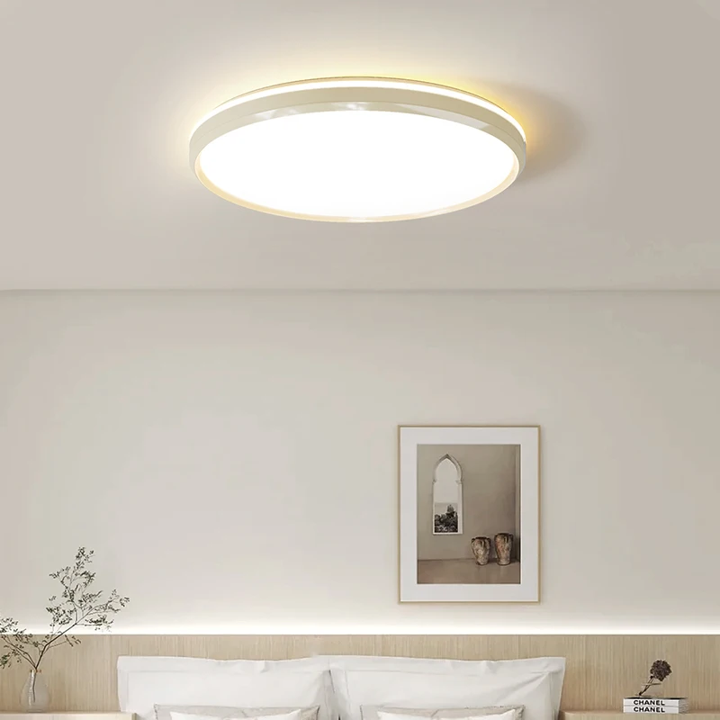 Bauhaus Bedroom Ceiling Light Silver Living Room Study LED Nordic Minimalist Lighting Full House Remote Control Lighting Fixture