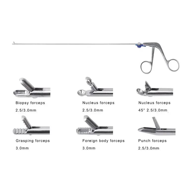 Spines Endoscopys forceps Spine Endoscopys instrumEN/Ts Transforaminal endoscopics forceps