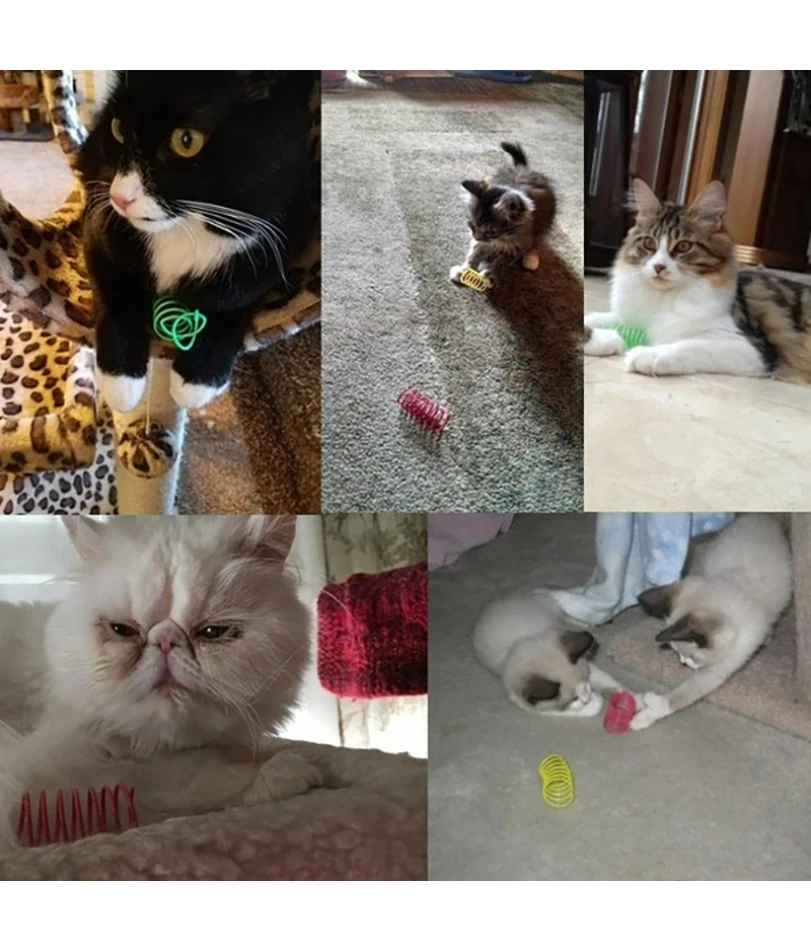 هريرة القط لعب واسعة دائم الثقيلة قياس القط الربيع لعبة الينابيع الملونة القط الحيوانات الأليفة لعبة لفائف دوامة الينابيع 4/8/16/20 قطعة