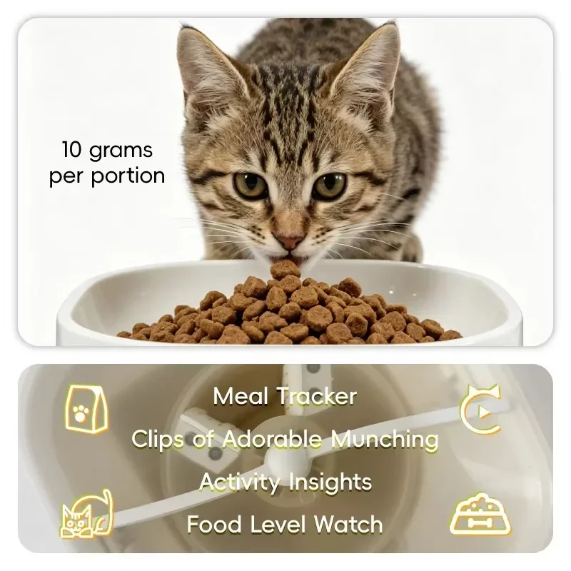 6L Automatic Cat Feeder With Camera HD Video Real Time Video View Intercom Timed Remote Control Smart Dog Cat Feeding Dispenser