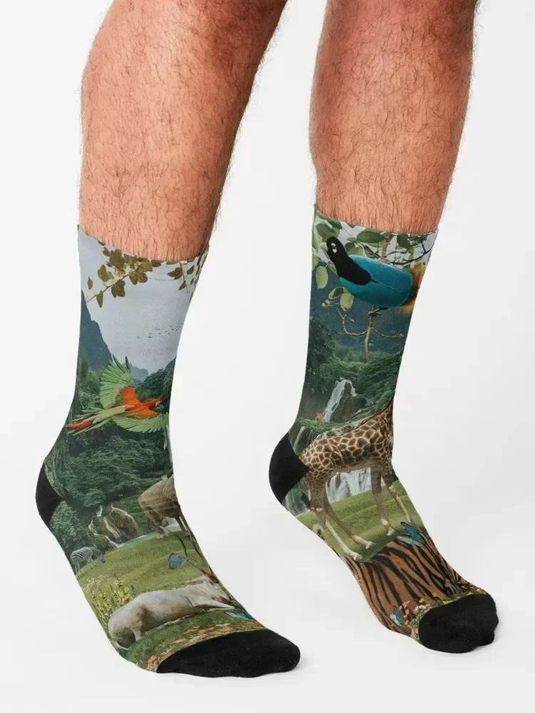 NEW WORLD Socks cotton with print winter Stockings man Men Socks Luxury Brand Women's