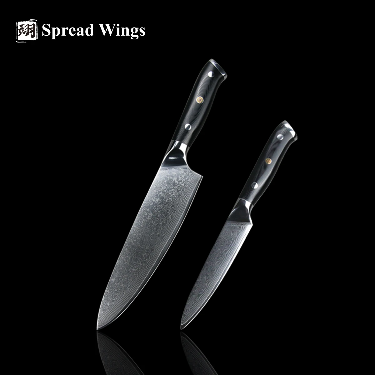 SW 2 PCS 8 Inch Japanese Damascus Steel Chef Knife Utility Knife Professional Kitchen Cutting Tools Set G10 Handle Gift Box Set