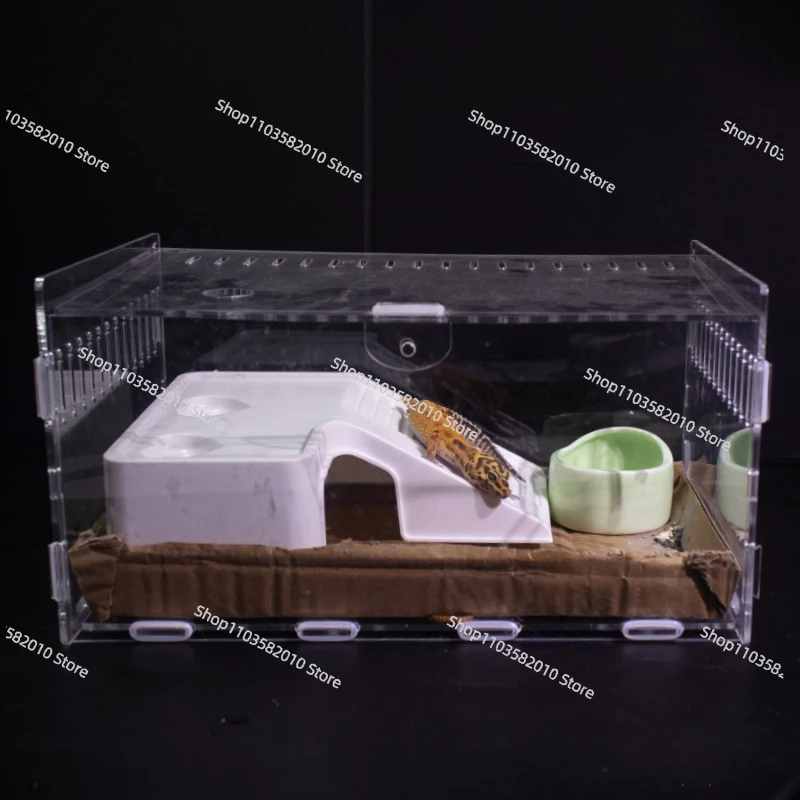 Transparent Acrylic Reptile Terrarium, Climbing Pet Breeding Box for Snail Lizard Horned Frog Snake, Reptile Display Pet House