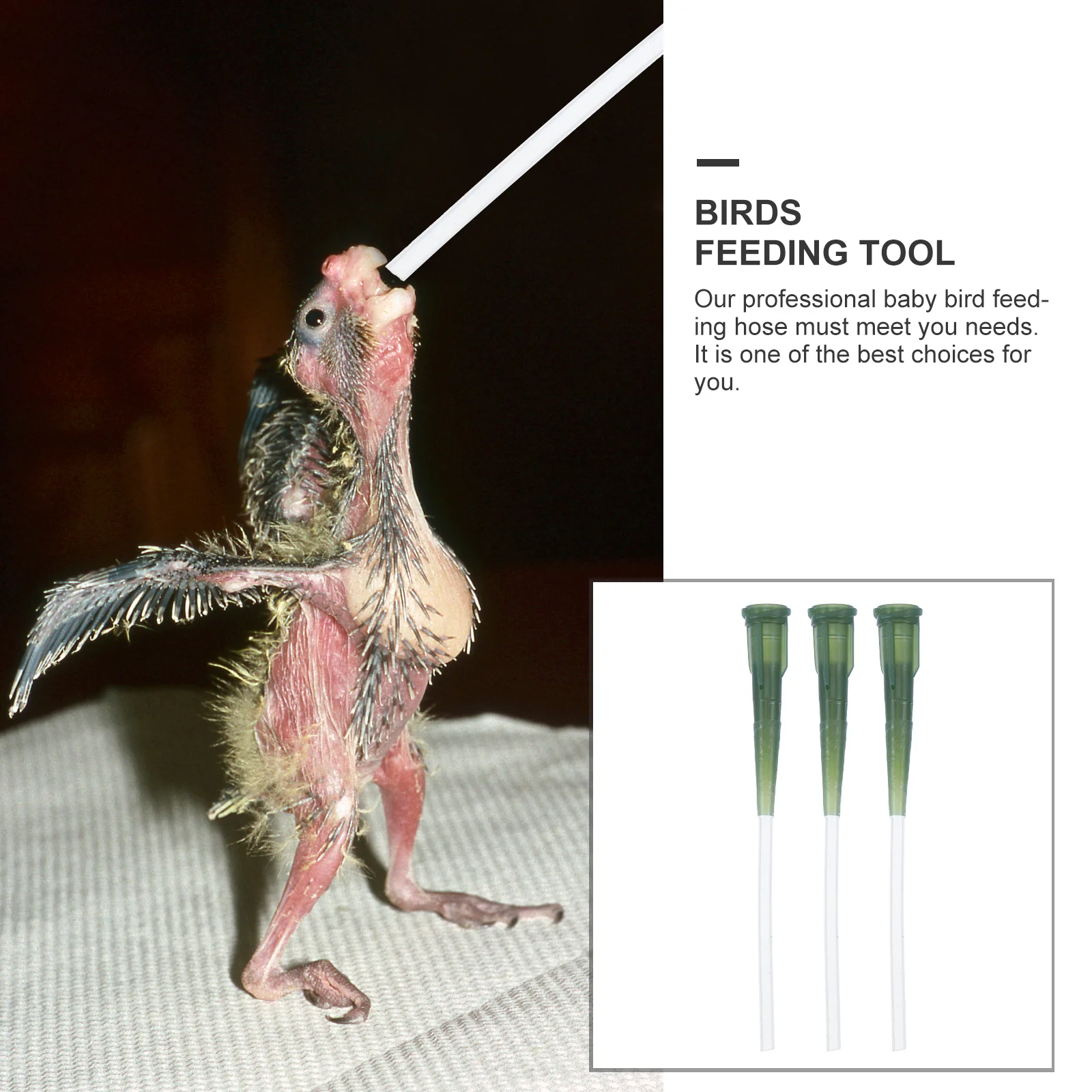 

3pcs Hose For Baby Birds Soft Food Grade Pet Feeding Tool Young Bird Feeder Parrot Handheld Feeder Birds Feeding Supply