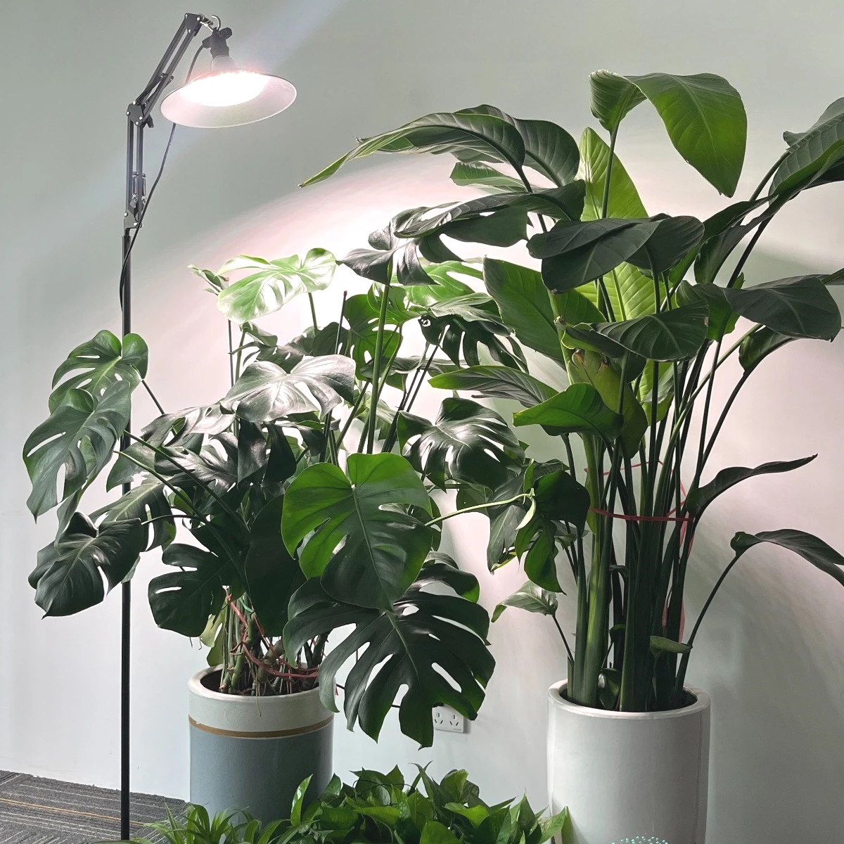 Full-Spectrum Floor-Standing Hanging Plant Growth Light High-Brightness LED Chip Waterproof Plant Grow Light  for Indoor Plants