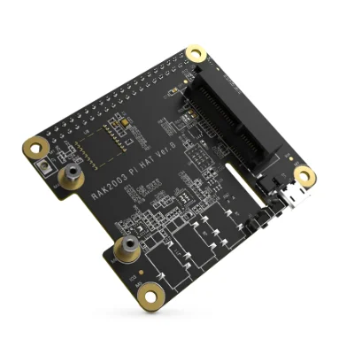 RAK2287 Pi HAT | RAKwireless